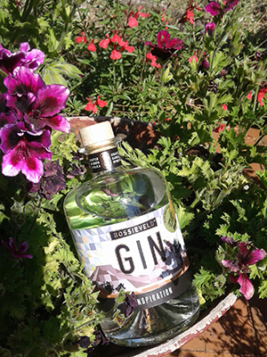 Bossieveld Inspiration Gin