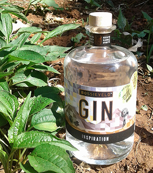 bv-gin-tuin-3