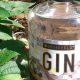 Bossieveld Inspiration Gin